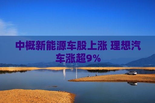 中概新能源车股上涨 理想汽车涨超9%  第1张