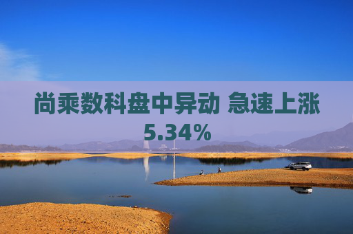 尚乘数科盘中异动 急速上涨5.34%  第1张