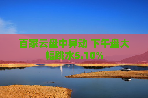 百家云盘中异动 下午盘大幅跳水5.10%