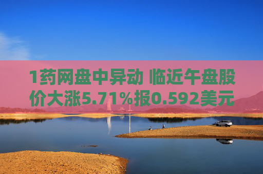 1药网盘中异动 临近午盘股价大涨5.71%报0.592美元  第1张