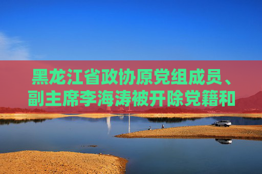 黑龙江省政协原党组成员、副主席李海涛被开除党籍和公职  第1张