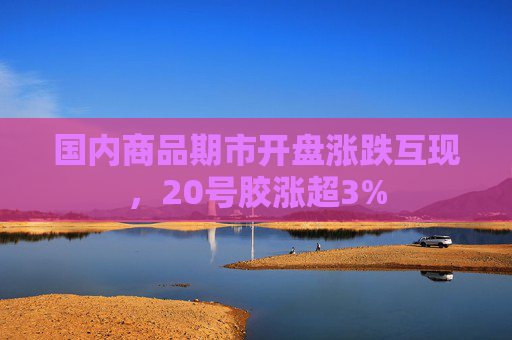 国内商品期市开盘涨跌互现，20号胶涨超3%  第1张