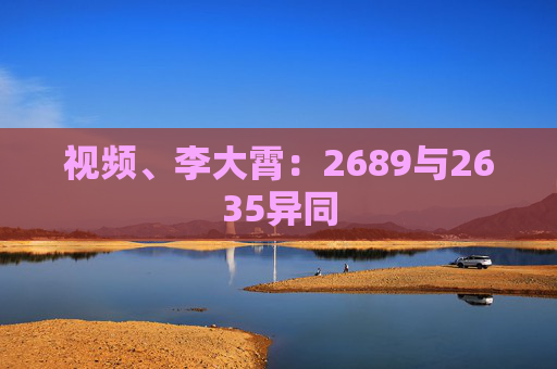 视频、李大霄：2689与2635异同  第1张