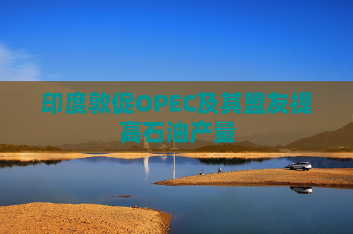 印度敦促OPEC及其盟友提高石油产量  第1张