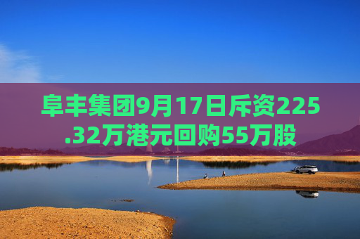 阜丰集团9月17日斥资225.32万港元回购55万股  第1张