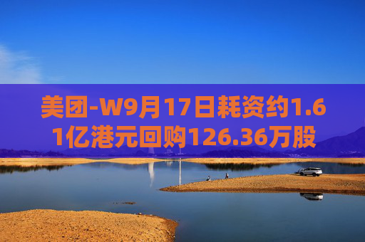 美团-W9月17日耗资约1.61亿港元回购126.36万股  第1张