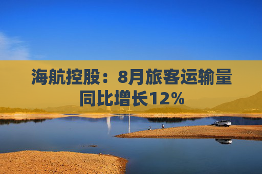 海航控股：8月旅客运输量同比增长12%  第1张