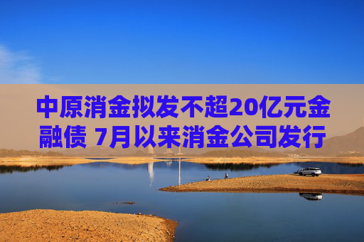 中原消金拟发不超20亿元金融债 7月以来消金公司发行金融债规模已逼近上半年  第1张