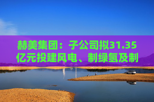 赫美集团：子公司拟31.35亿元投建风电、制绿氢及制绿色甲醇项目  第1张