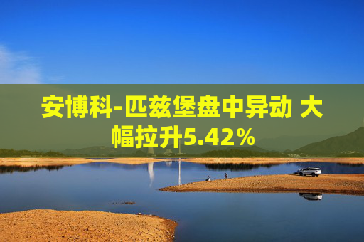 安博科-匹兹堡盘中异动 大幅拉升5.42%  第1张