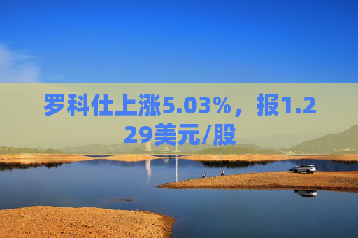 罗科仕上涨5.03%，报1.229美元/股  第1张