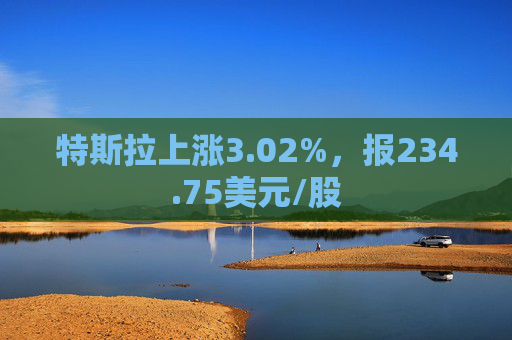 特斯拉上涨3.02%，报234.75美元/股  第1张