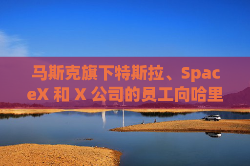 马斯克旗下特斯拉、SpaceX 和 X 公司的员工向哈里斯捐款 而他本人支持特朗普