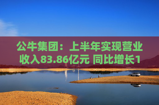 公牛集团：上半年实现营业收入83.86亿元 同比增长10.45%  第1张