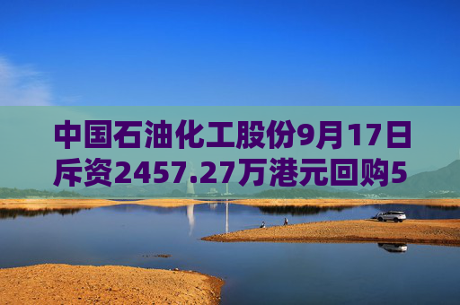 中国石油化工股份9月17日斥资2457.27万港元回购550.6万股  第1张