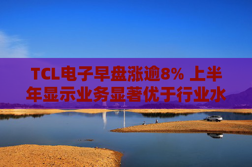 TCL电子早盘涨逾8% 上半年显示业务显著优于行业水平  第1张