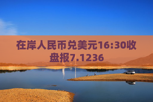 在岸人民币兑美元16:30收盘报7.1236  第1张