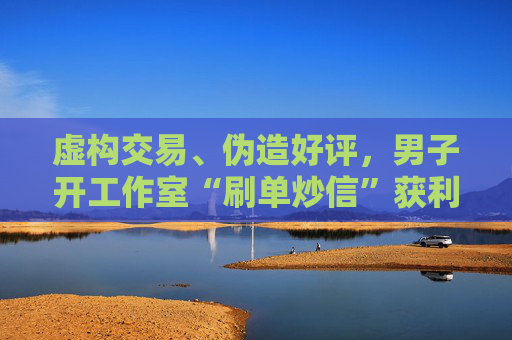 虚构交易、伪造好评，男子开工作室“刷单炒信”获利20万余元获刑  第1张