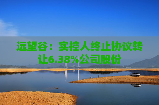 远望谷：实控人终止协议转让6.38%公司股份