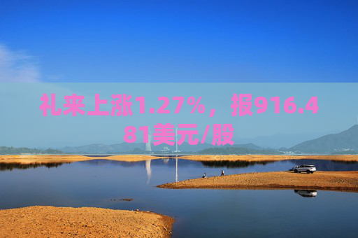 礼来上涨1.27%，报916.481美元/股  第1张