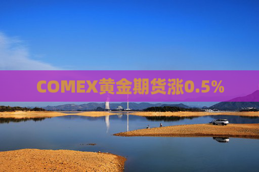 COMEX黄金期货涨0.5%