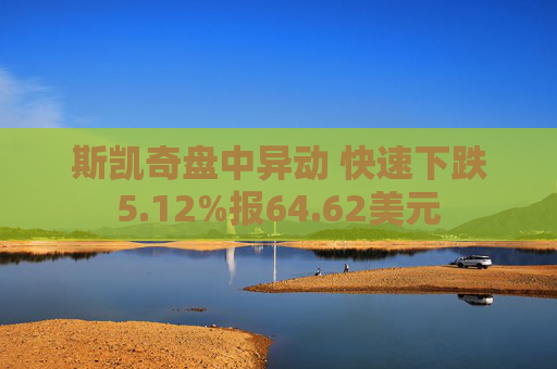 斯凯奇盘中异动 快速下跌5.12%报64.62美元  第1张