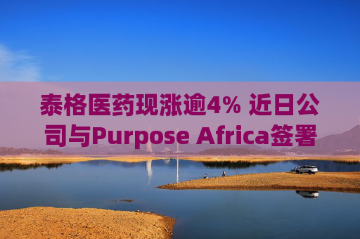 泰格医药现涨逾4% 近日公司与Purpose Africa签署合作备忘录