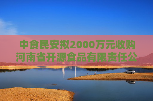 中食民安拟2000万元收购河南省开源食品有限责任公司的100%股权  第1张