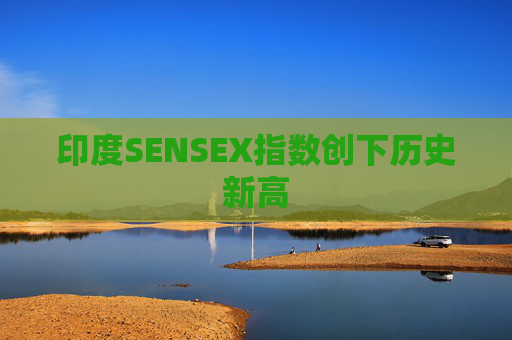 印度SENSEX指数创下历史新高  第1张