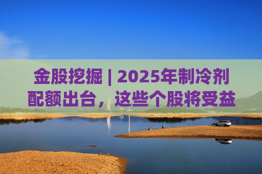 金股挖掘 | 2025年制冷剂配额出台，这些个股将受益