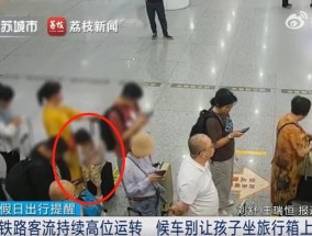 高铁站女童坐行李箱摔下后昏迷，网友：担心的事还是上新闻了