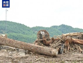 缅甸洪灾已致268人死亡