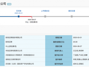 受会计所天职国际被“冻结资格”拖累，财信证券IPO之路又中止