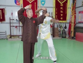 全球连线丨尼日尔“功夫老外”遇见雄安“精武世家”