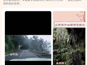 博主独闯哀牢山“被大量凶兽盯上”？当事人回应：是树根