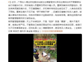 男子被电诈分子骗到境外跳楼逃跑，涉诈偷渡人员潜逃回国讲述九死一生经历