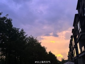 雷电、龙卷风、粉紫色的天空，今天身在上海的你有看到吗？