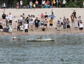 广西北海沙滩一野生斑海豹引来游客围观触摸，海洋局回应